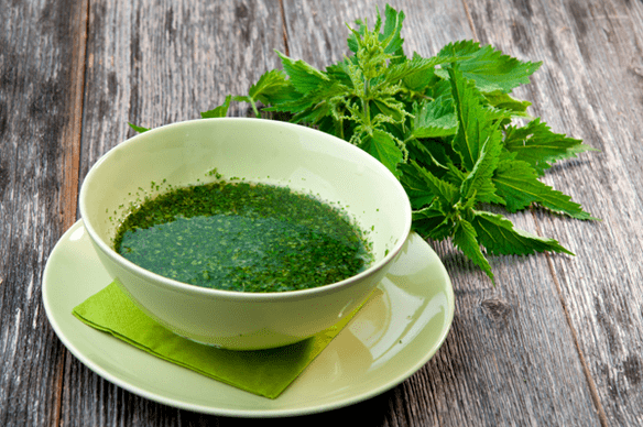 Infuzie de frunze de urzică - remediu popular pentru diabet